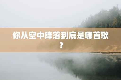 你从空中降落到底是哪首歌？