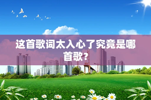 这首歌词太入心了究竟是哪首歌？