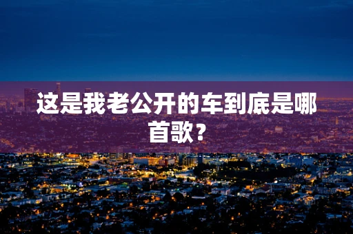这是我老公开的车到底是哪首歌？