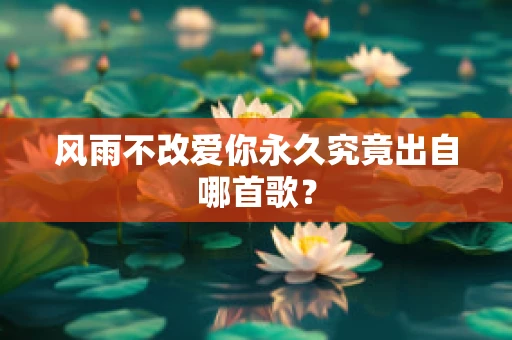 风雨不改爱你永久究竟出自哪首歌？