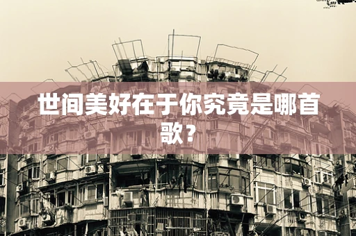 世间美好在于你究竟是哪首歌？