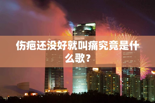 伤疤还没好就叫痛究竟是什么歌？