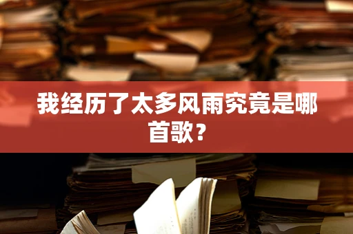 我经历了太多风雨究竟是哪首歌？