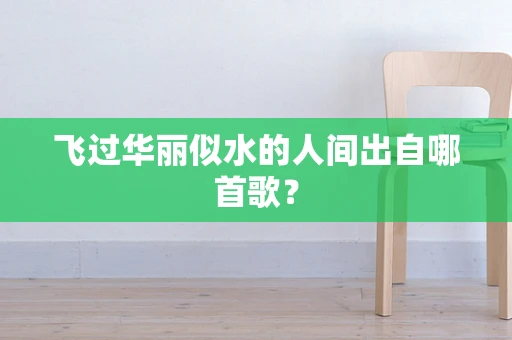 飞过华丽似水的人间出自哪首歌？