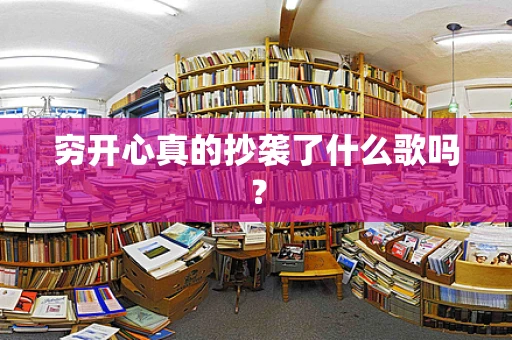 穷开心真的抄袭了什么歌吗？