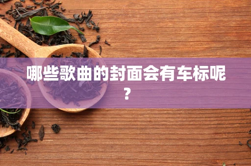 哪些歌曲的封面会有车标呢？