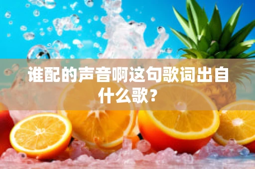 谁配的声音啊这句歌词出自什么歌？