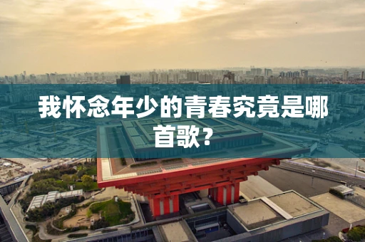 我怀念年少的青春究竟是哪首歌？