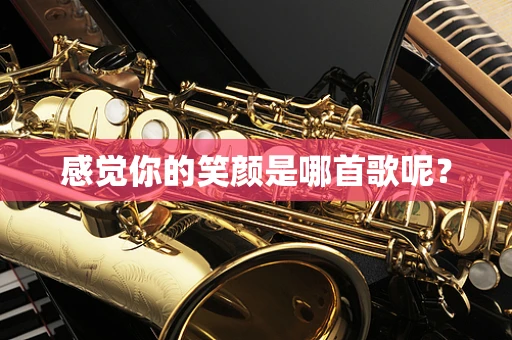 感觉你的笑颜是哪首歌呢？