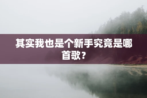其实我也是个新手究竟是哪首歌？