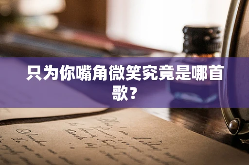 只为你嘴角微笑究竟是哪首歌？