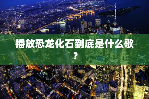 播放恐龙化石到底是什么歌？