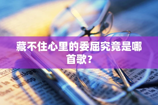藏不住心里的委屈究竟是哪首歌？