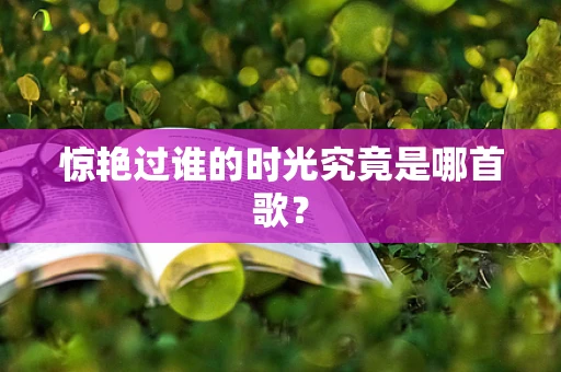 惊艳过谁的时光究竟是哪首歌？