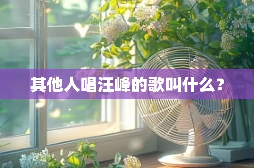 其他人唱汪峰的歌叫什么？