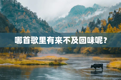 哪首歌里有来不及回味呢？