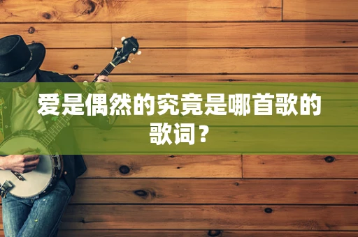 爱是偶然的究竟是哪首歌的歌词？