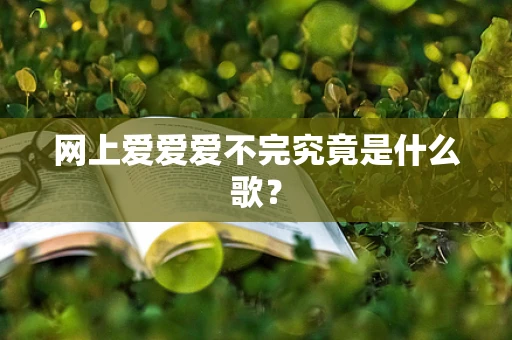网上爱爱爱不完究竟是什么歌？