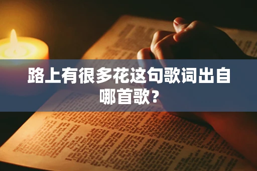 路上有很多花这句歌词出自哪首歌？