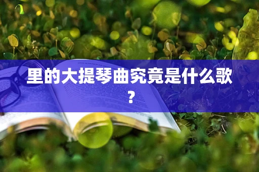 里的大提琴曲究竟是什么歌？