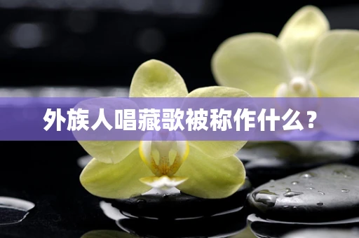 外族人唱藏歌被称作什么？