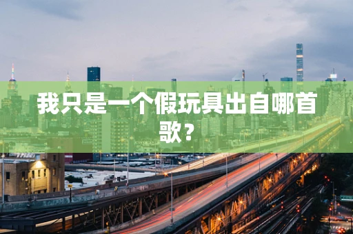 我只是一个假玩具出自哪首歌？