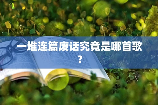 一堆连篇废话究竟是哪首歌？