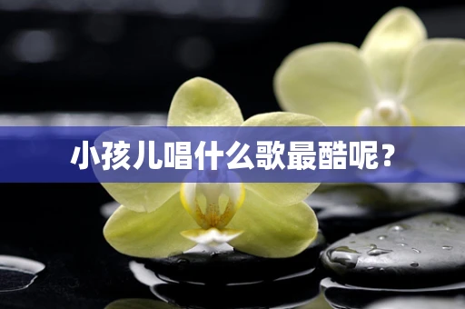 小孩儿唱什么歌最酷呢？