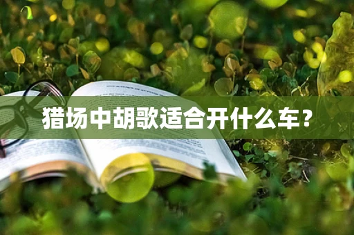猎场中胡歌适合开什么车？