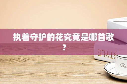 执着守护的花究竟是哪首歌？