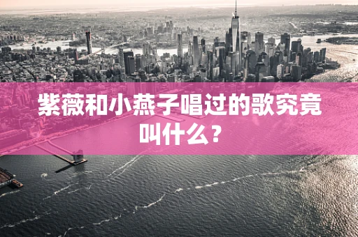 紫薇和小燕子唱过的歌究竟叫什么？