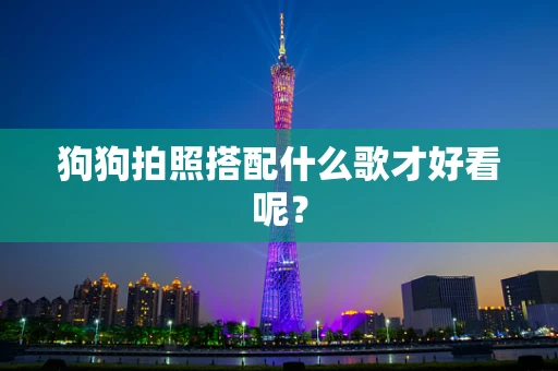 狗狗拍照搭配什么歌才好看呢？