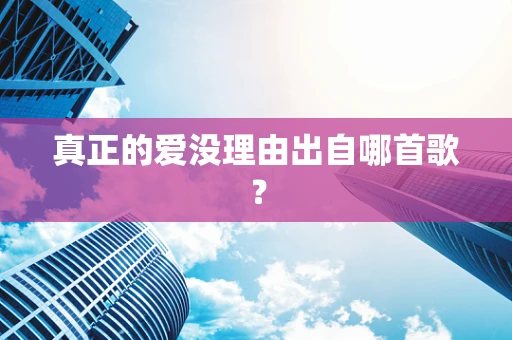 真正的爱没理由出自哪首歌？