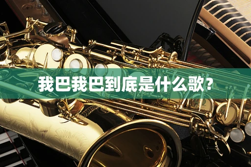 我巴我巴到底是什么歌？