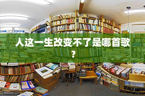 人这一生改变不了是哪首歌？