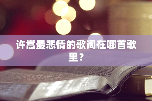 许嵩最悲情的歌词在哪首歌里？