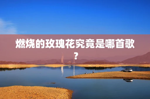 燃烧的玫瑰花究竟是哪首歌？