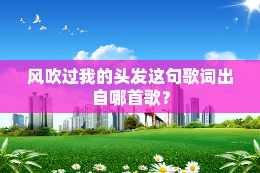 风吹过我的头发这句歌词出自哪首歌？