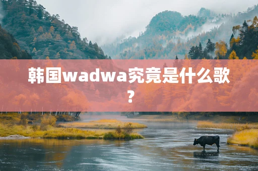 韩国wadwa究竟是什么歌？