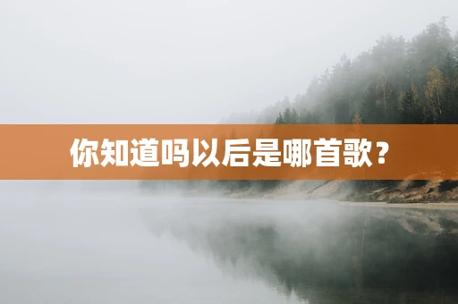 你知道吗以后是哪首歌？