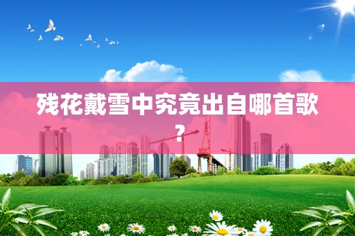 残花戴雪中究竟出自哪首歌？