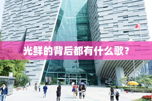 光鲜的背后都有什么歌？