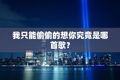 我只能偷偷的想你究竟是哪首歌？