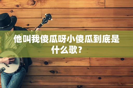 他叫我傻瓜呀小傻瓜到底是什么歌？