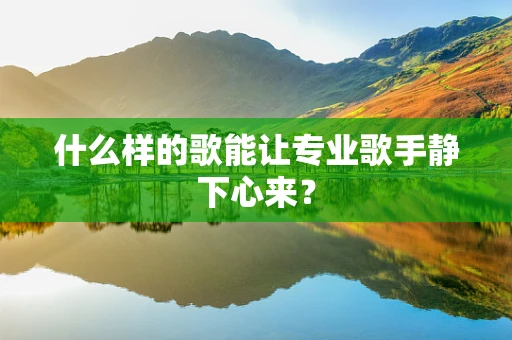 什么样的歌能让专业歌手静下心来？