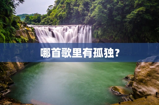 哪首歌里有孤独？