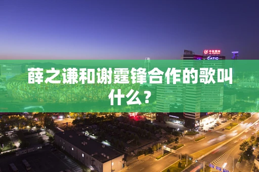 薛之谦和谢霆锋合作的歌叫什么？