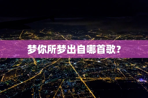 梦你所梦出自哪首歌？