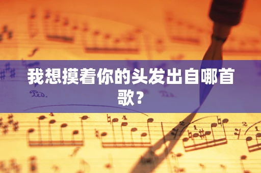 我想摸着你的头发出自哪首歌？
