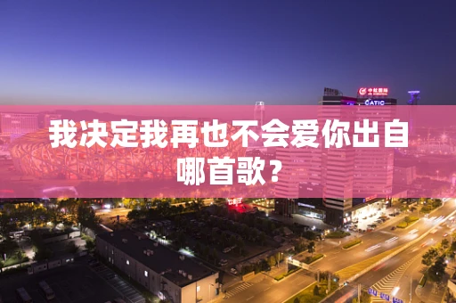 我决定我再也不会爱你出自哪首歌？
